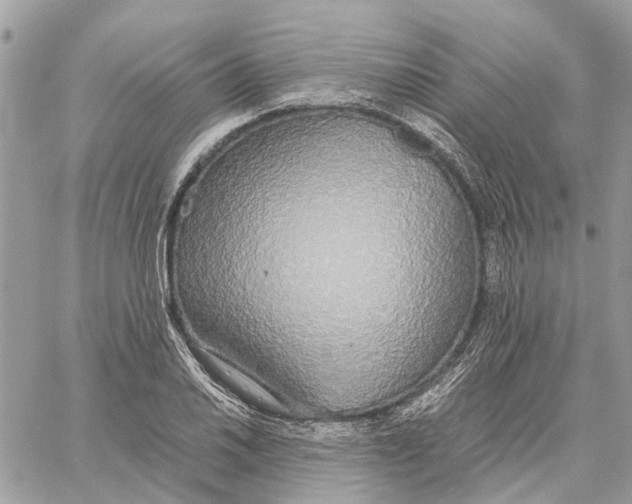 X0000060261030200511181349