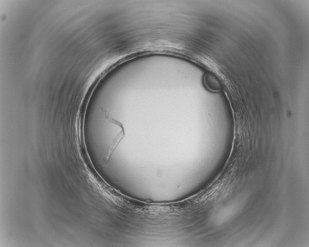 X0000060261032200511181349