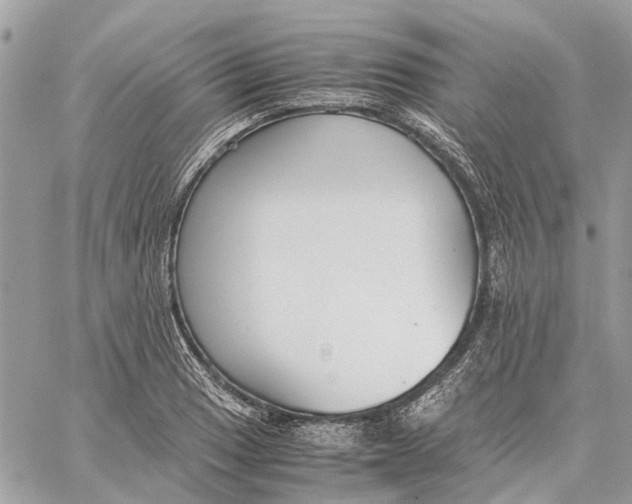 X0000060261033200511181349