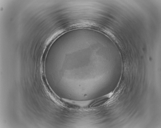 X0000060261034200511181349