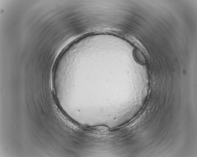 X0000060261036200511181349