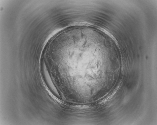 X0000060261037200511181349