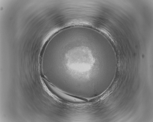 X0000060261038200511181349