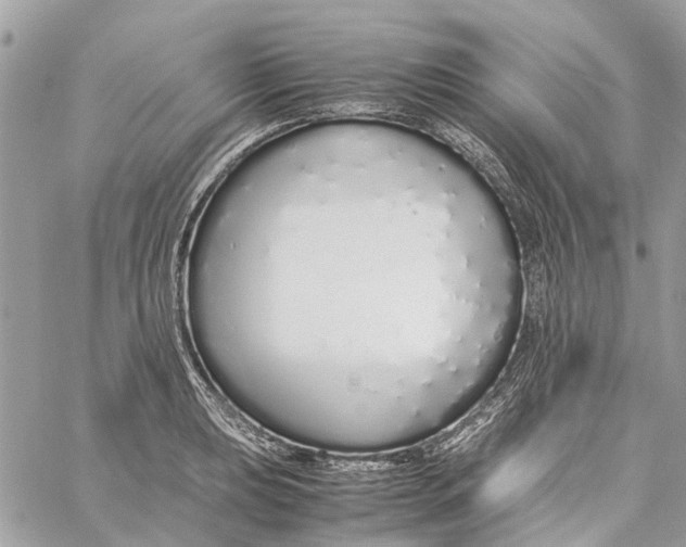 X0000060261039200511181349