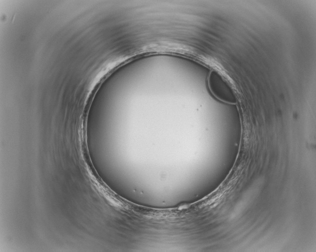 X0000060261040200511181349