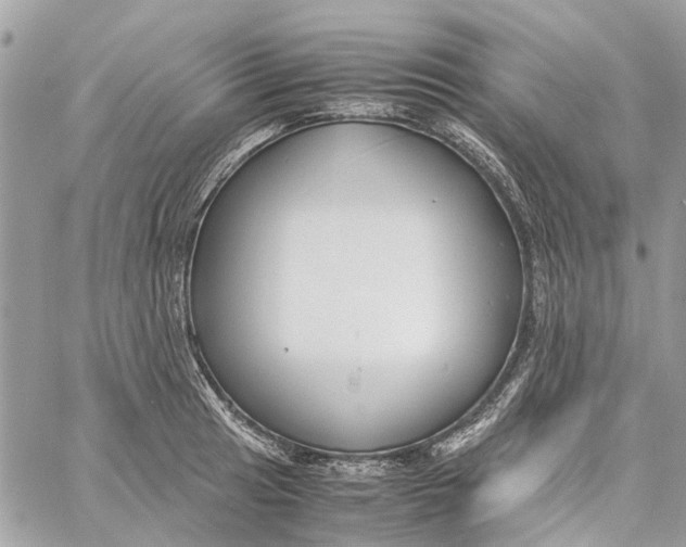 X0000060261041200511181349