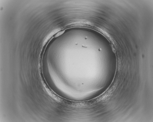 X0000060261042200511181349