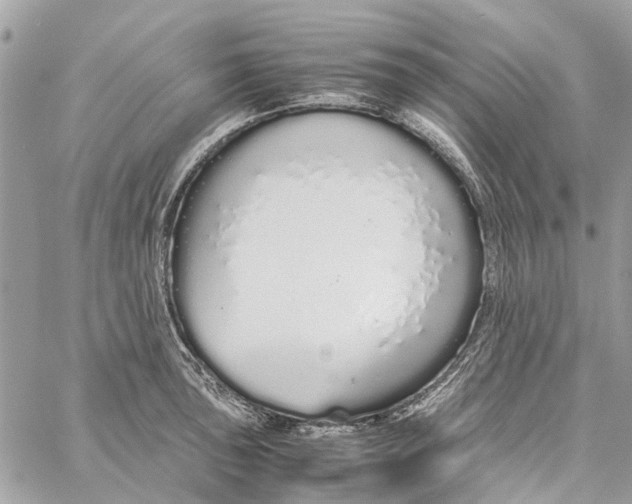 X0000060261043200511181349