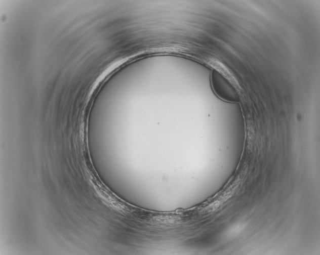 X0000060261044200511181349