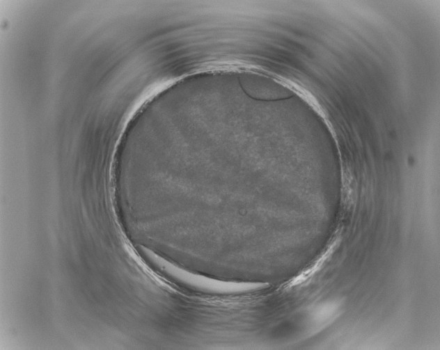 X0000060261045200511181349