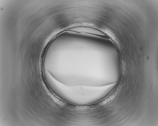 X0000060261046200511181349