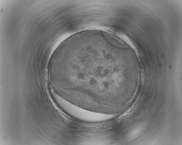 X0000060261048200511181349