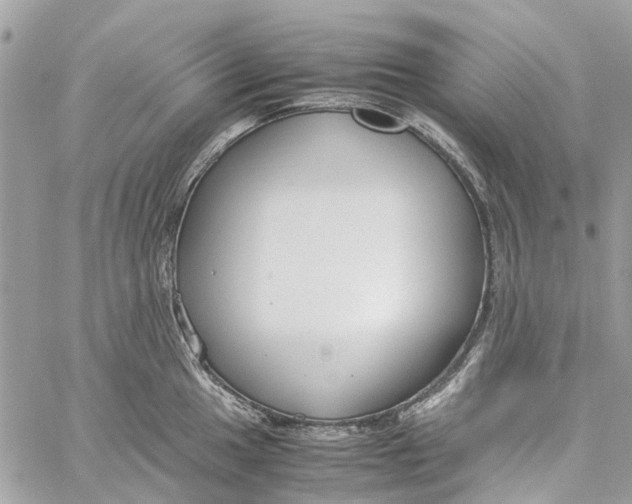 X0000060261049200511181349