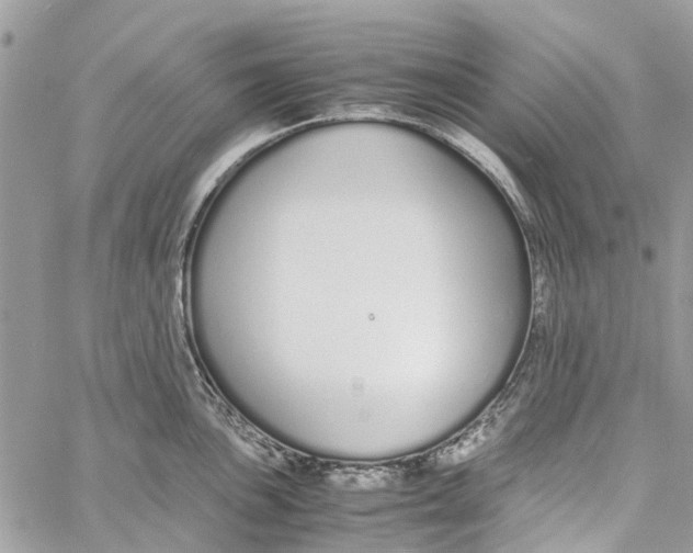 X0000060261051200511181349