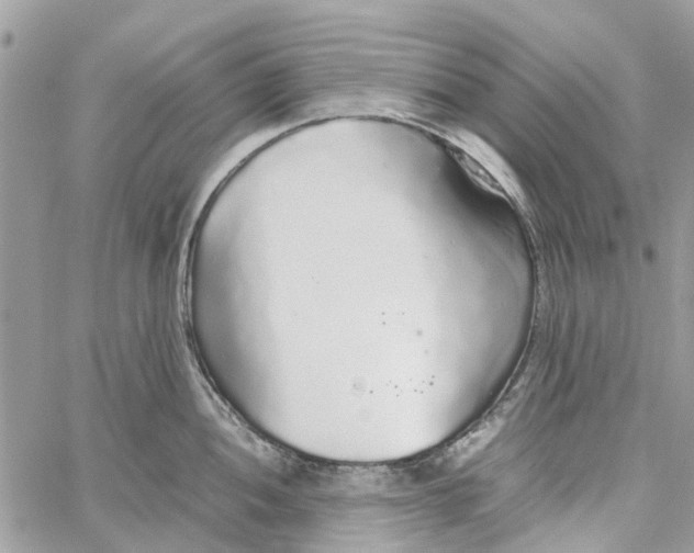 X0000060261052200511181349