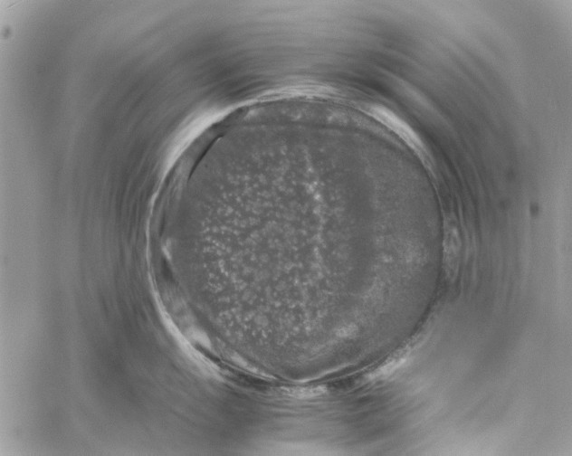 X0000060261055200511181349