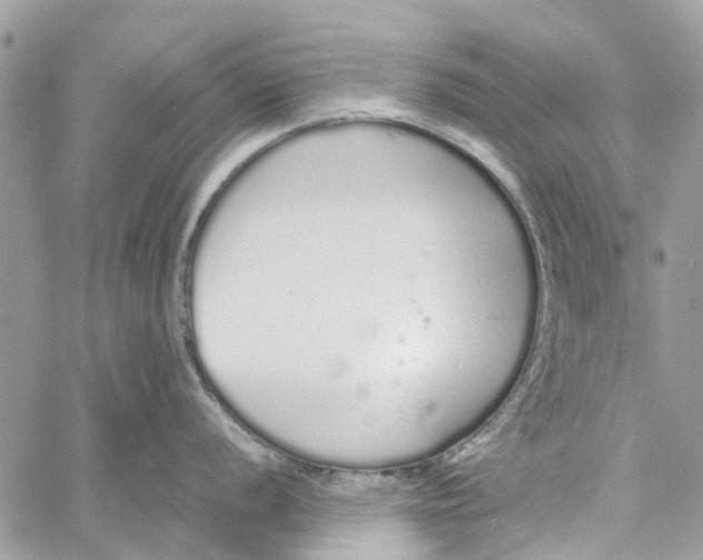 X0000060261056200511181349