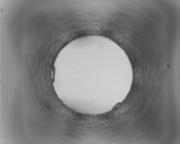 X0000060261057200511181348