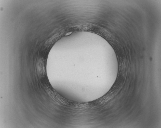 X0000060261058200511181348