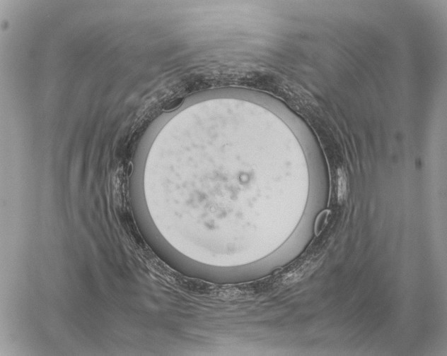 X0000060261059200511181348