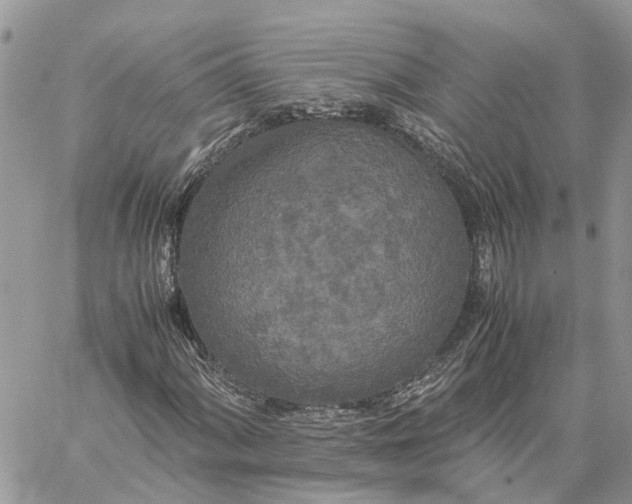 X0000060261060200511181348