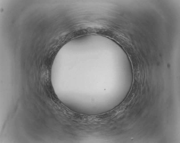 X0000060261061200511181348