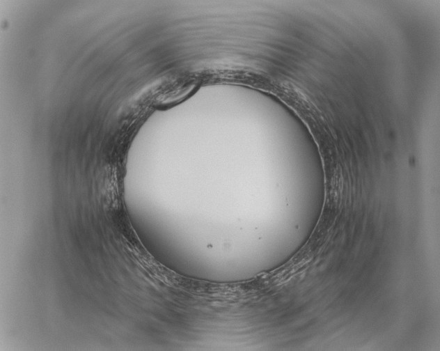 X0000060261062200511181348