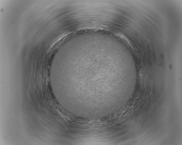 X0000060261064200511181348