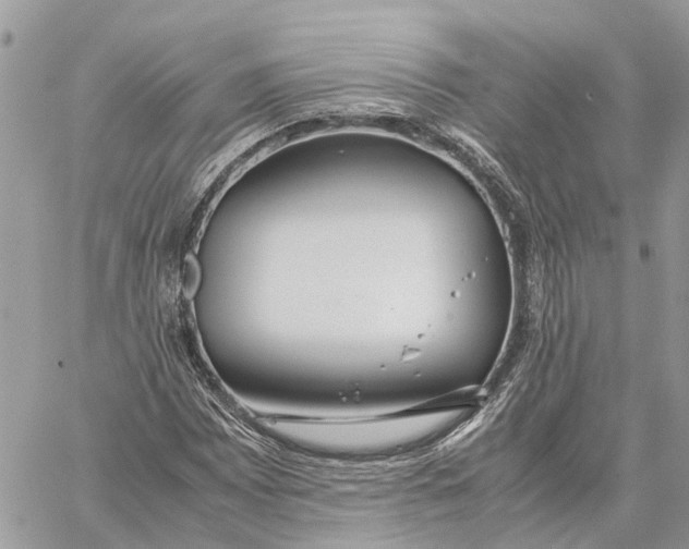 X0000060261065200511181348