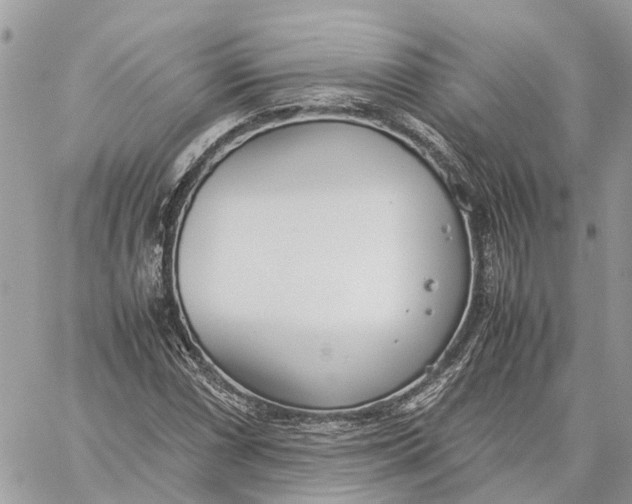 X0000060261066200511181348