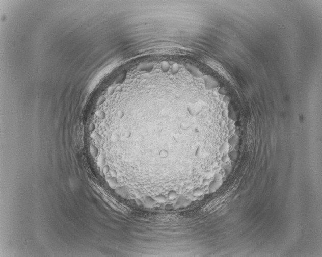 X0000060261067200511181348