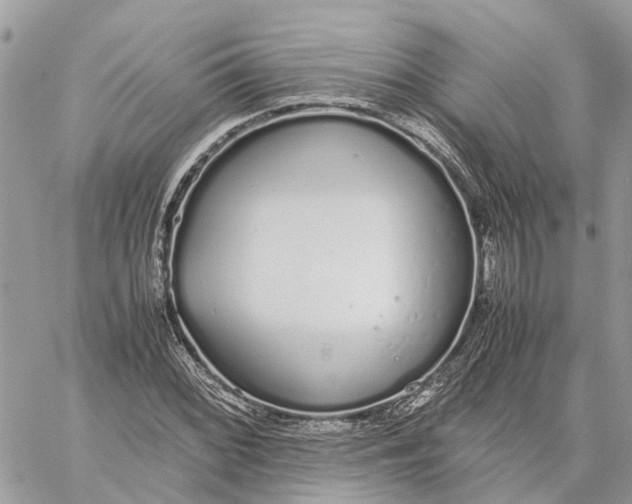 X0000060261068200511181348