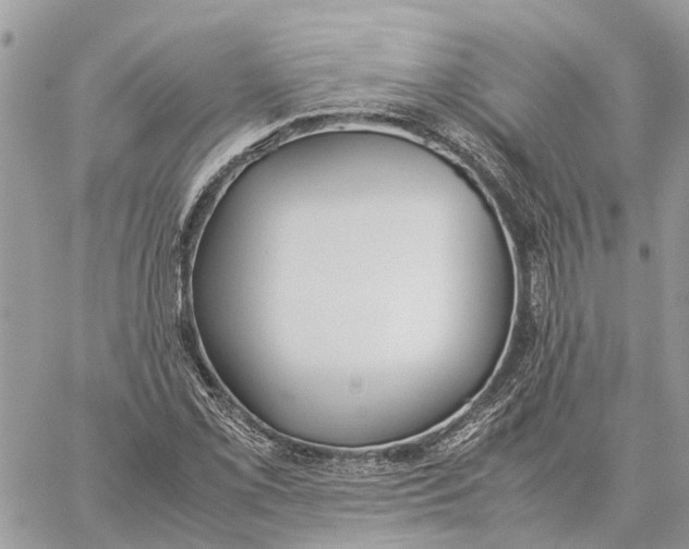 X0000060261069200511181348