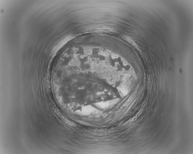 X0000060261071200511181348