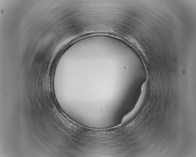 X0000060261072200511181348