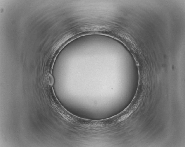 X0000060261073200511181348