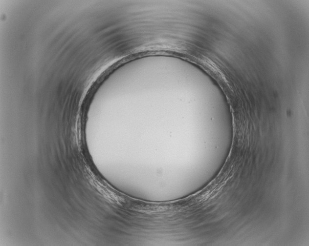 X0000060261076200511181348