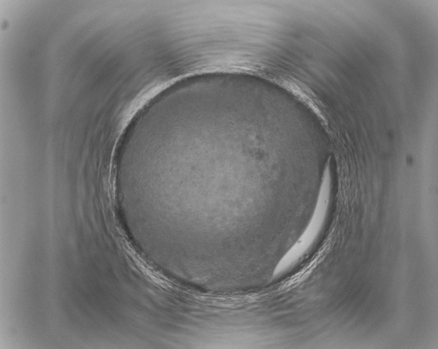 X0000060261077200511181348