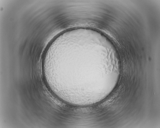 X0000060261078200511181348