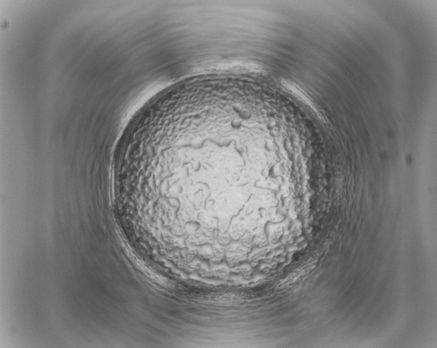 X0000060261079200511181348