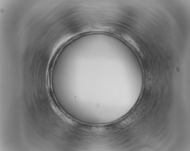 X0000060261080200511181348