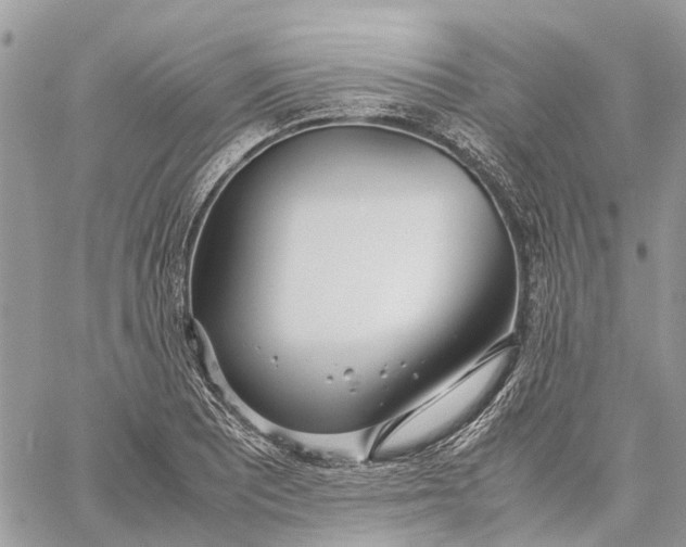 X0000060261081200511181348