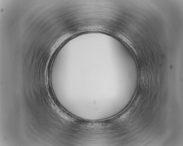 X0000060261082200511181348