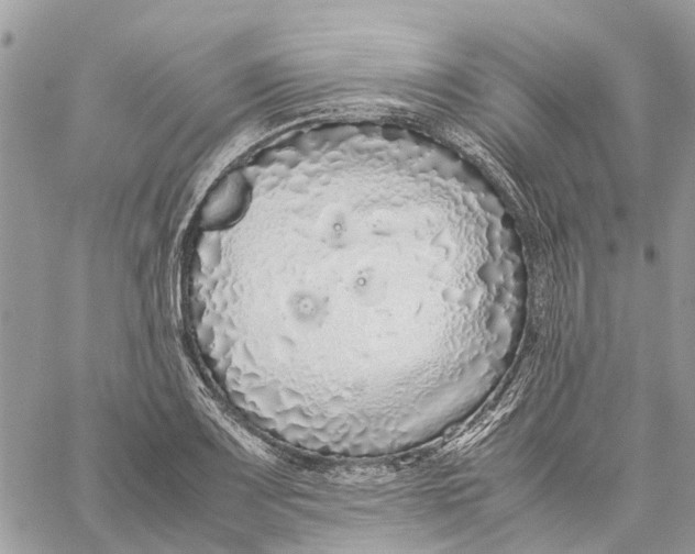 X0000060261083200511181348