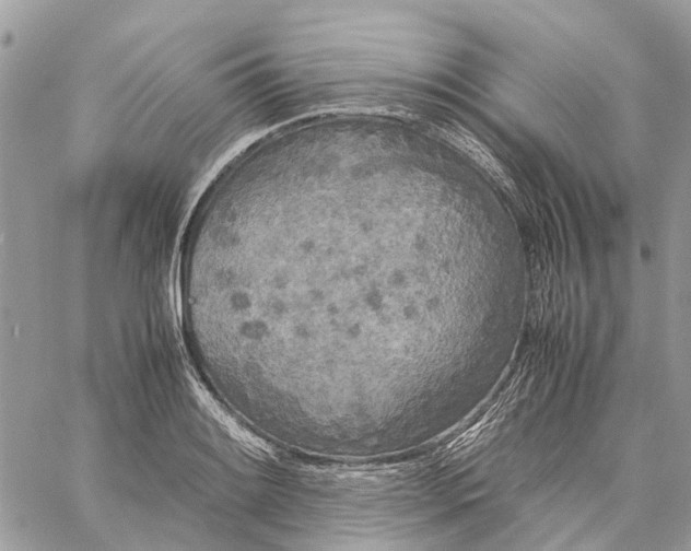 X0000060261084200511181348