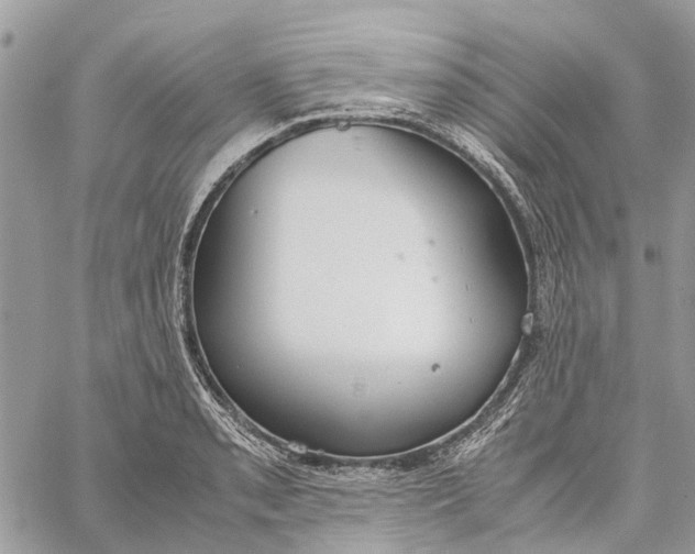 X0000060261085200511181348