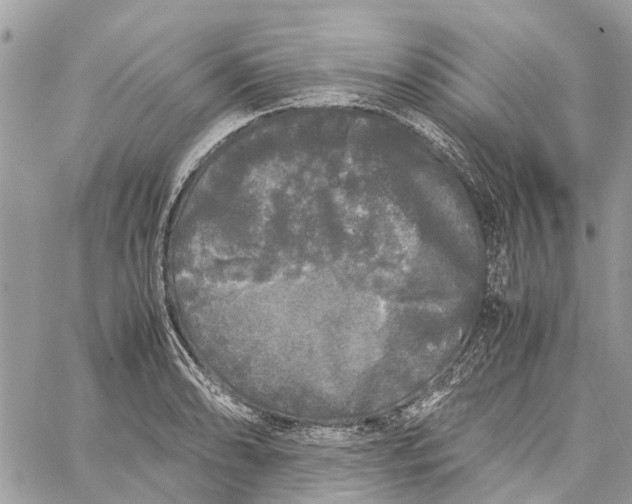 X0000060261086200511181348