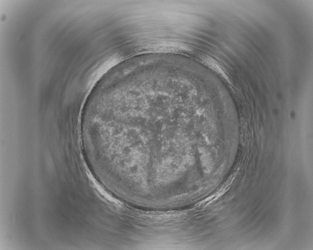 X0000060261087200511181348