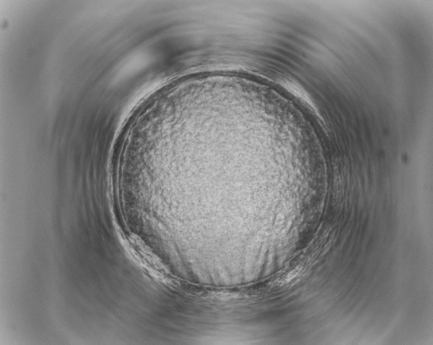 X0000060261088200511181348