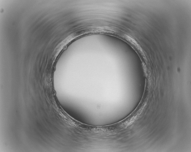 X0000060261089200511181348